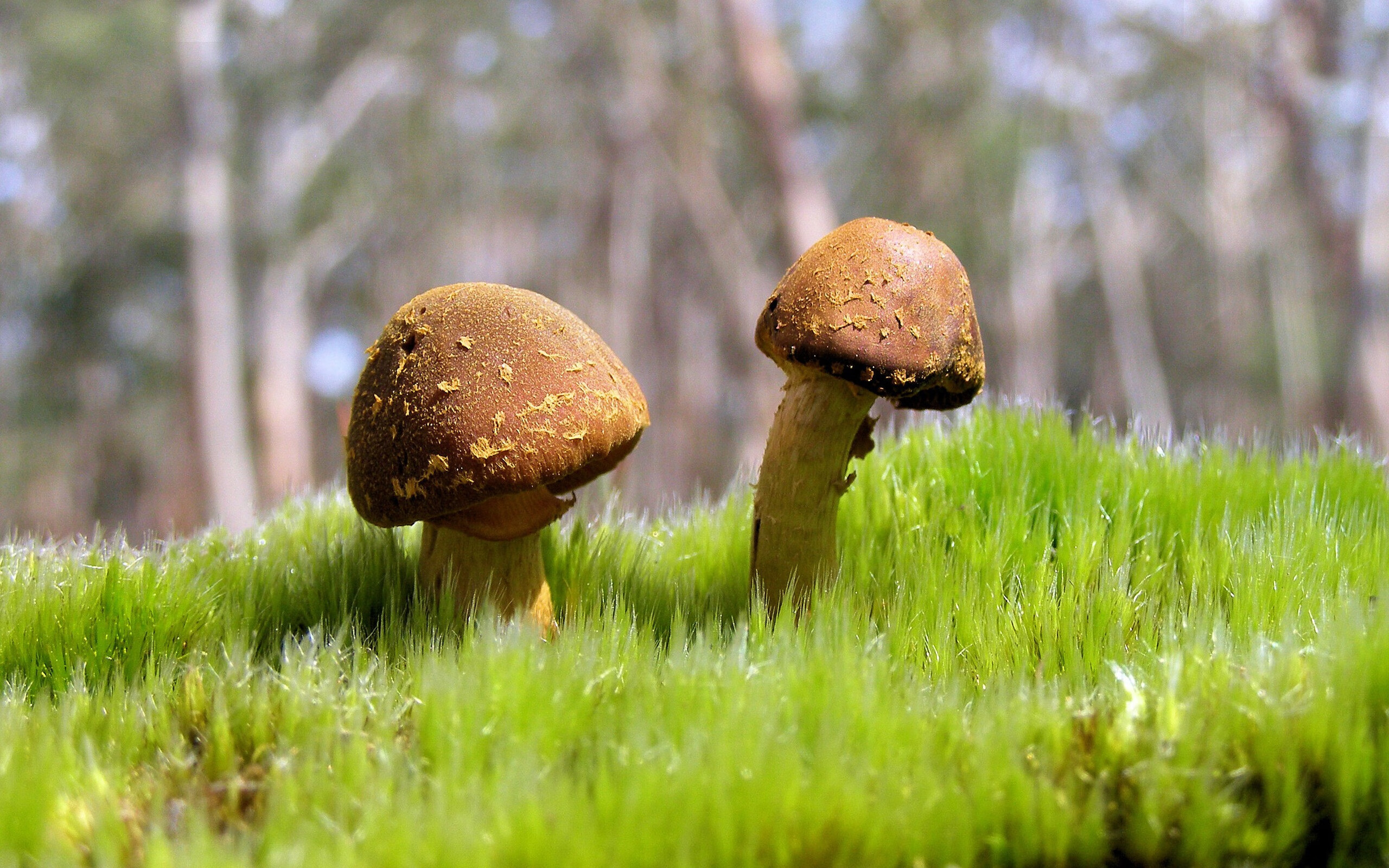 爱游戏电竞官方网站-WRC比赛精彩回放：不容错过的瞬间集锦，哪里看wrc比赛