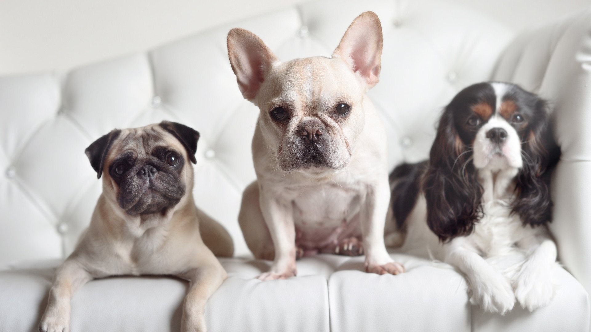 爱游戏娱乐平台-伤情最新通报：球队核心伤愈迎战关键比赛，球队伤病